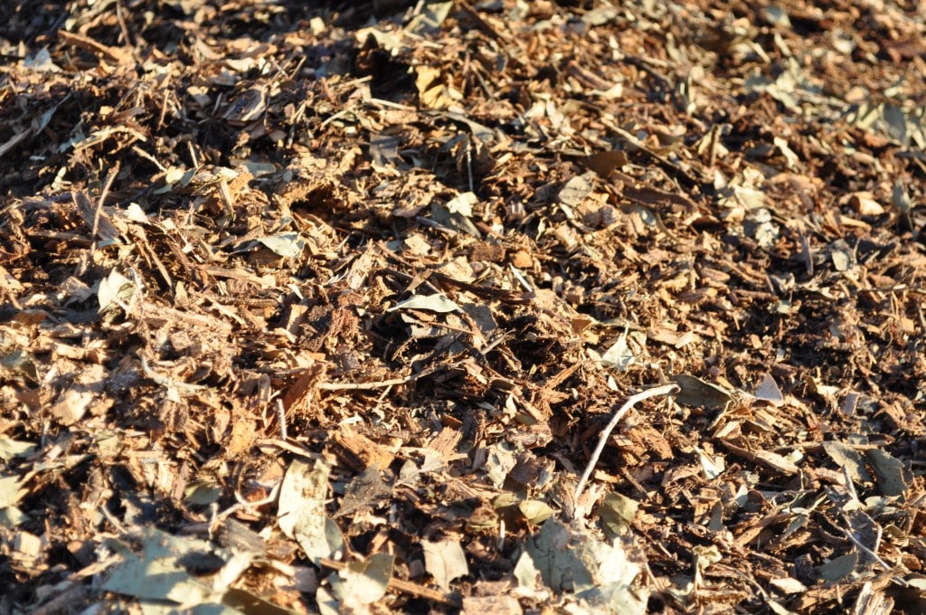 Premium Leaf Mulch for Natural Garden Nourishment - Parklea Sand and Soil