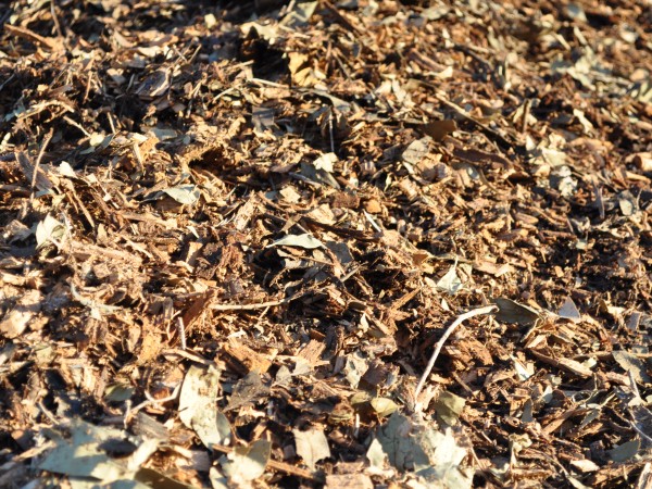 Premium Leaf Mulch for Natural Garden Nourishment - Parklea Sand and Soil