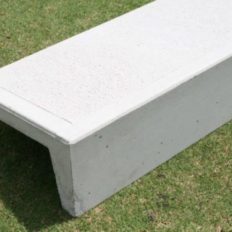 Concrete Step and Riser