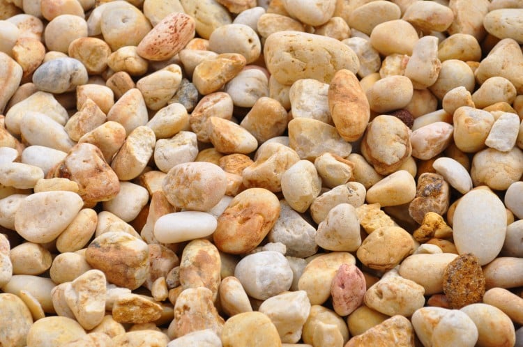 A close-up view of gold Cowra pebbles scattered on the ground. The pebbles have a smooth and rounded texture, showcasing their natural golden hues. They vary in size and shape, ranging from small to medium-sized stones. These pebbles add a touch of elegance and warmth to outdoor landscapes, gardens, and pathways.