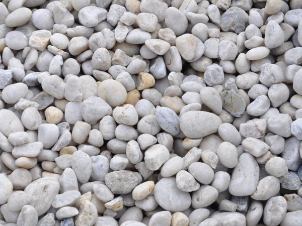 A close-up photograph of white Cowra pebbles displayed on a sandy surface. The pebbles are smooth and rounded, varying in size from small to medium. They have a bright white color, providing a clean and polished look. The texture of the pebbles is visible, showcasing their natural beauty. Available at Parklea Sand & Soil Australia.