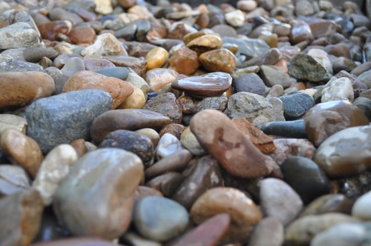 A close-up photograph of river pebbles displayed in various shades of gray, brown, and beige. The smooth, rounded stones are of different sizes and textures, creating an attractive natural arrangement. The pebbles are arranged in a pile, showcasing their diversity and providing a visually pleasing texture.