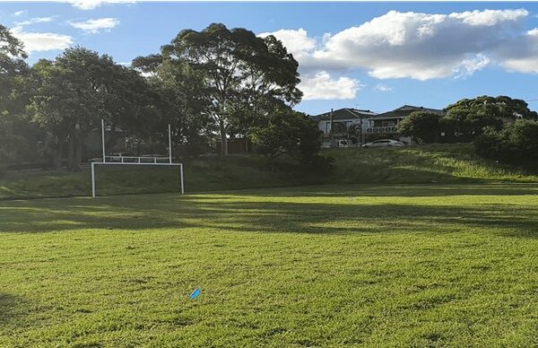 An image showcasing a lush, vibrant green lawn covered in Kikuyu grass. The sunlight filters through the blades, casting a warm, inviting glow. The grass appears well-maintained, providing a dense and uniform coverage. This Kikuyu lawn is an ideal choice for homeowners seeking a resilient and visually appealing landscape solution.