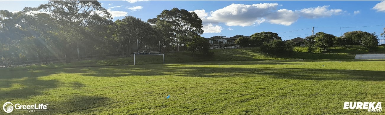 An image showcasing a lush, vibrant green lawn covered in Kikuyu grass. The sunlight filters through the blades, casting a warm, inviting glow. The grass appears well-maintained, providing a dense and uniform coverage. This Kikuyu lawn is an ideal choice for homeowners seeking a resilient and visually appealing landscape solution.