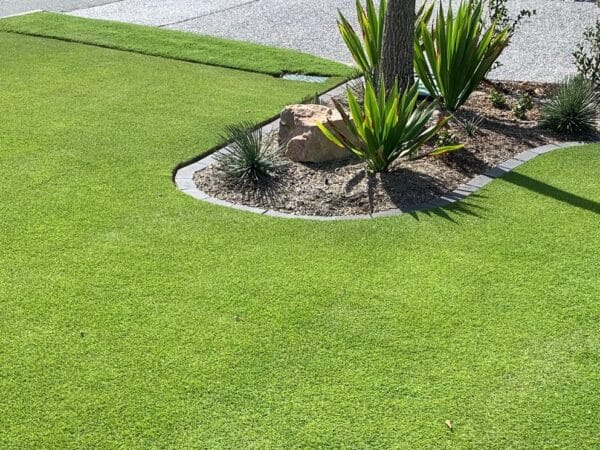 Sir Grange Zoysia: Lush and Durable Turf for Beautiful Landscapes | Parklea Sand and Soil.