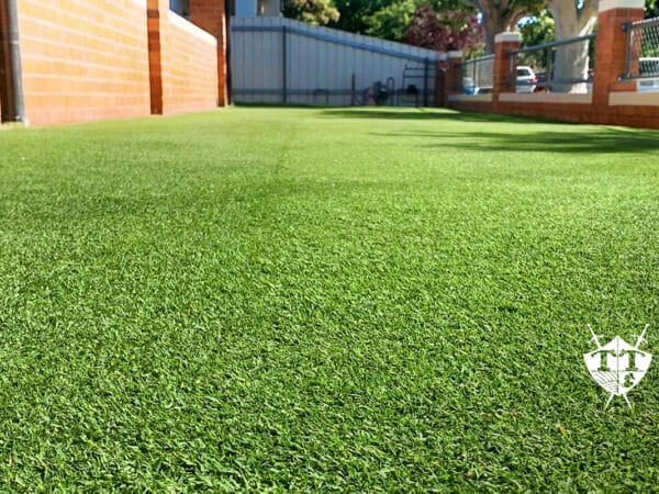 Image of TifTuf Bermuda Couch - The Perfect Lawn Solution by Parklea Sand and Soil.