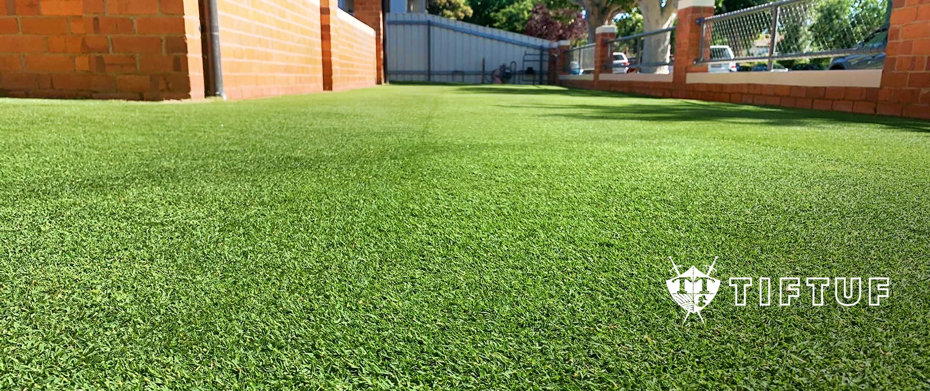 Image of TifTuf Bermuda Couch - The Perfect Lawn Solution by Parklea Sand and Soil.
