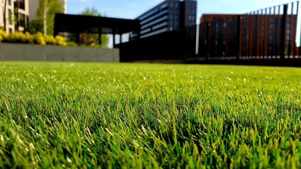 Quality home lawn with Topsoil in Sydney.