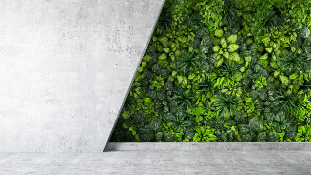 A concrete wall and vertical garden- signifying eco-friendly building materials.
